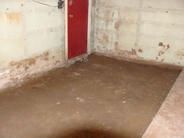 DSC00137.jpg