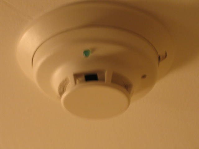 2008_05_40 030.jpg