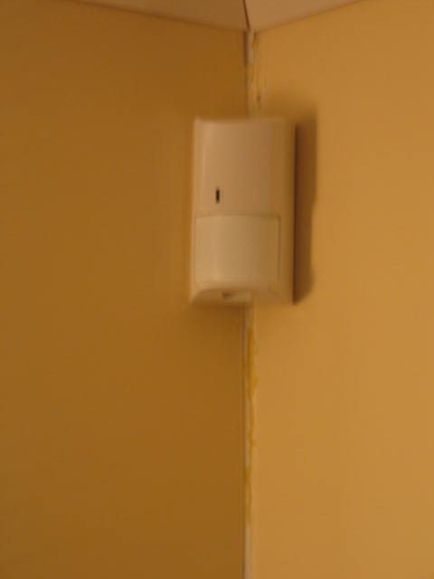 2008_05_40 029.jpg