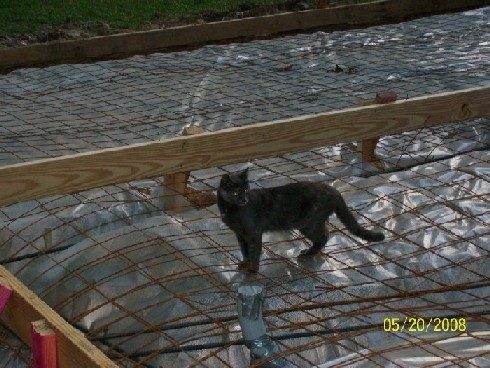 Building Inspector and Attack Cat.jpg