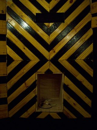 100_0414.jpg