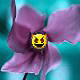 forknightfly.gif