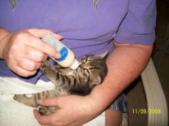 Newest Family addition.jpg