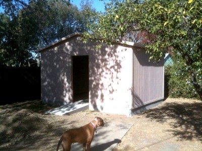 newly-built-shed1_web.jpg