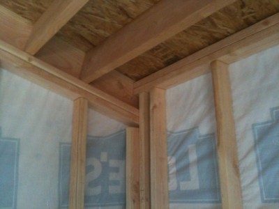 IMG_0236_web.jpg