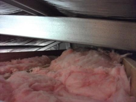 ceiling cavity.jpg