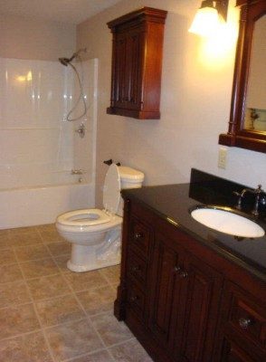 basement bathroom.JPG