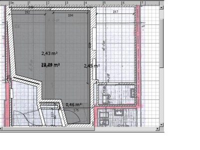 2destudio plant.jpg