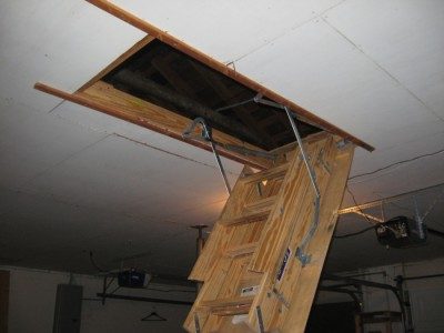 IMG_2417.jpg