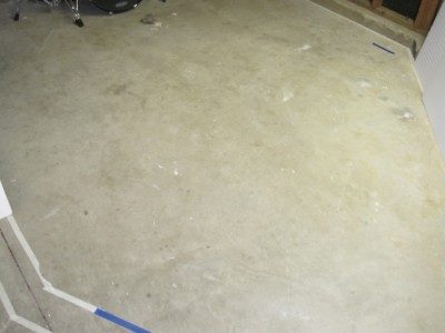 IMG_1193.jpg