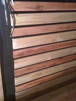 IMG_0662.jpg