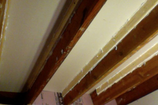 ceiling 1.jpg