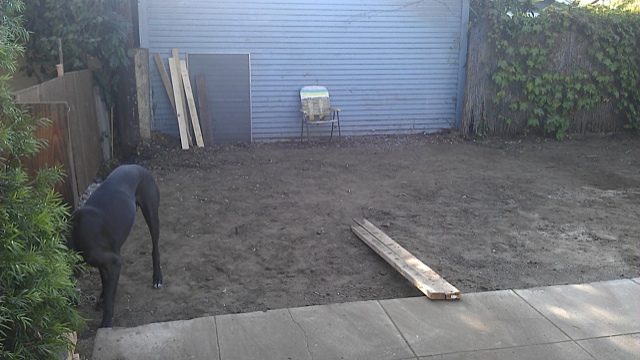 IMAG1569.jpg