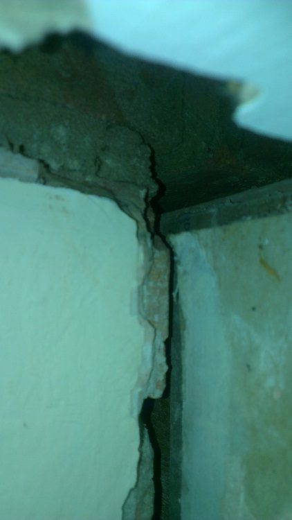 IMAG0105-web.jpg