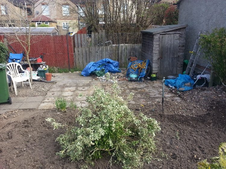 Back garden shed.jpg