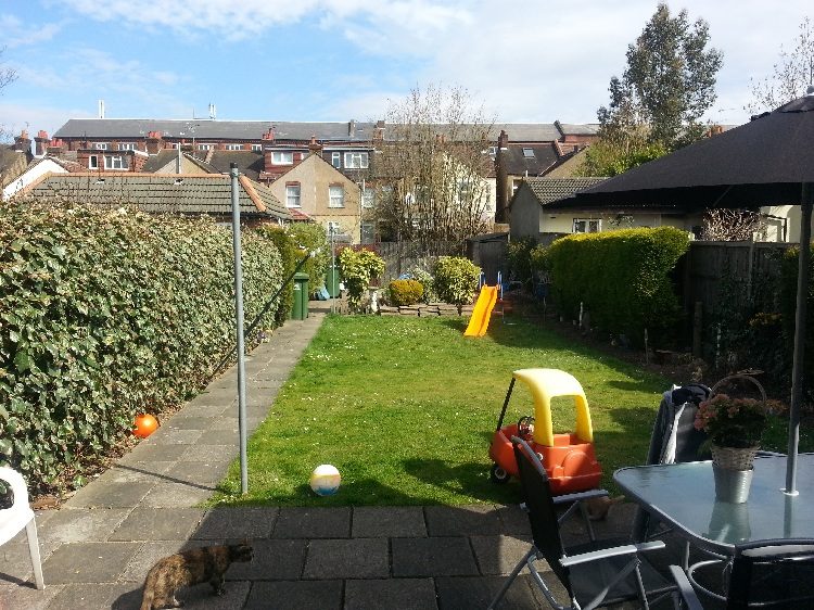 Garden.jpg